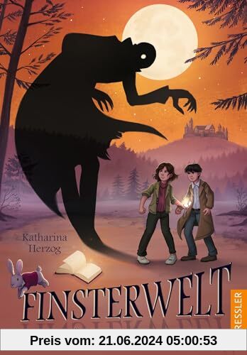 Finsterwelt 3. Die märchenhafte Zeitreise: Fantasievolles Abenteuer-Buch für Kinder ab 10 Jahren über Freundschaft, Mut und Zusammenhalt